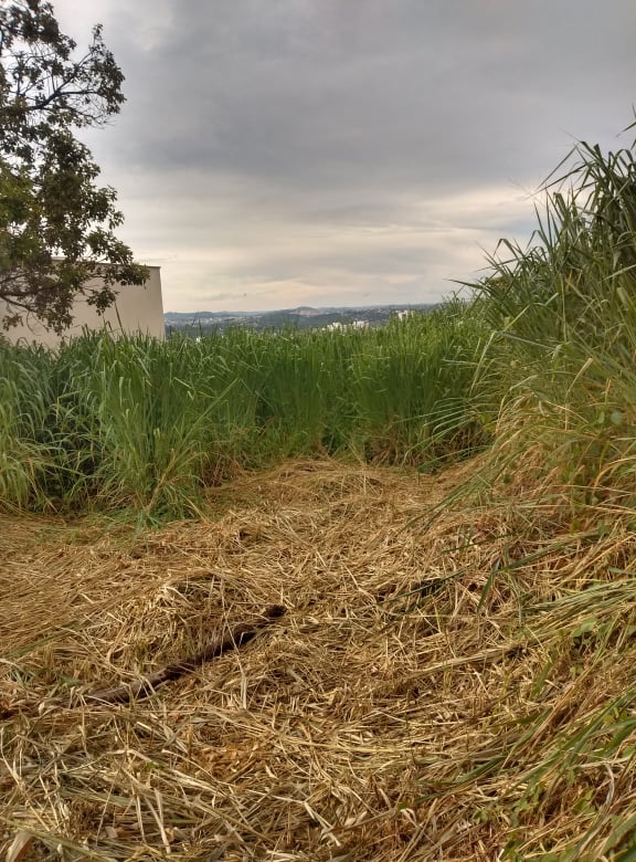 Terreno à venda, 360m² - Foto 3