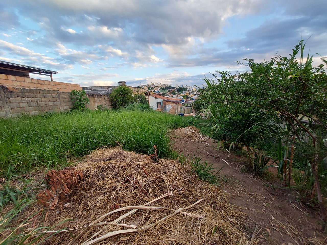Terreno à venda, 50m² - Foto 9
