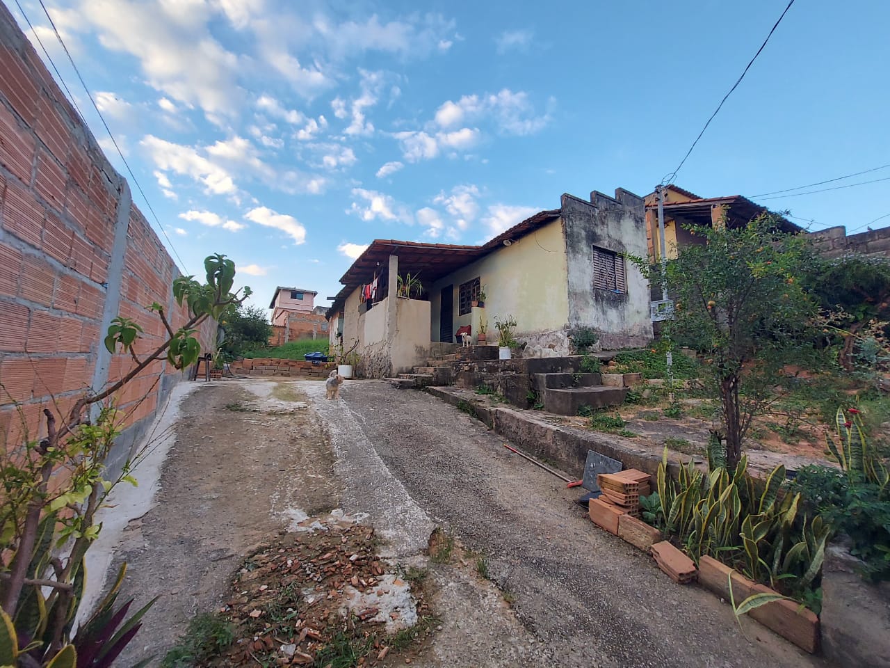 Terreno à venda, 50m² - Foto 5
