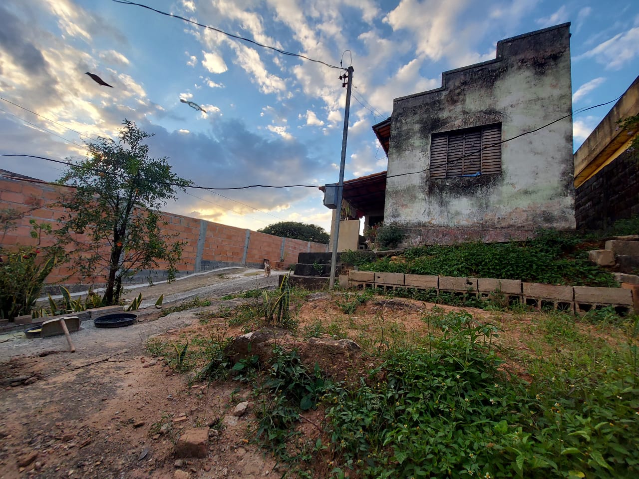 Terreno à venda, 50m² - Foto 6