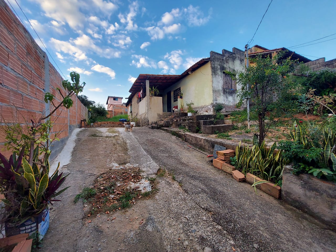 Terreno à venda, 50m² - Foto 7