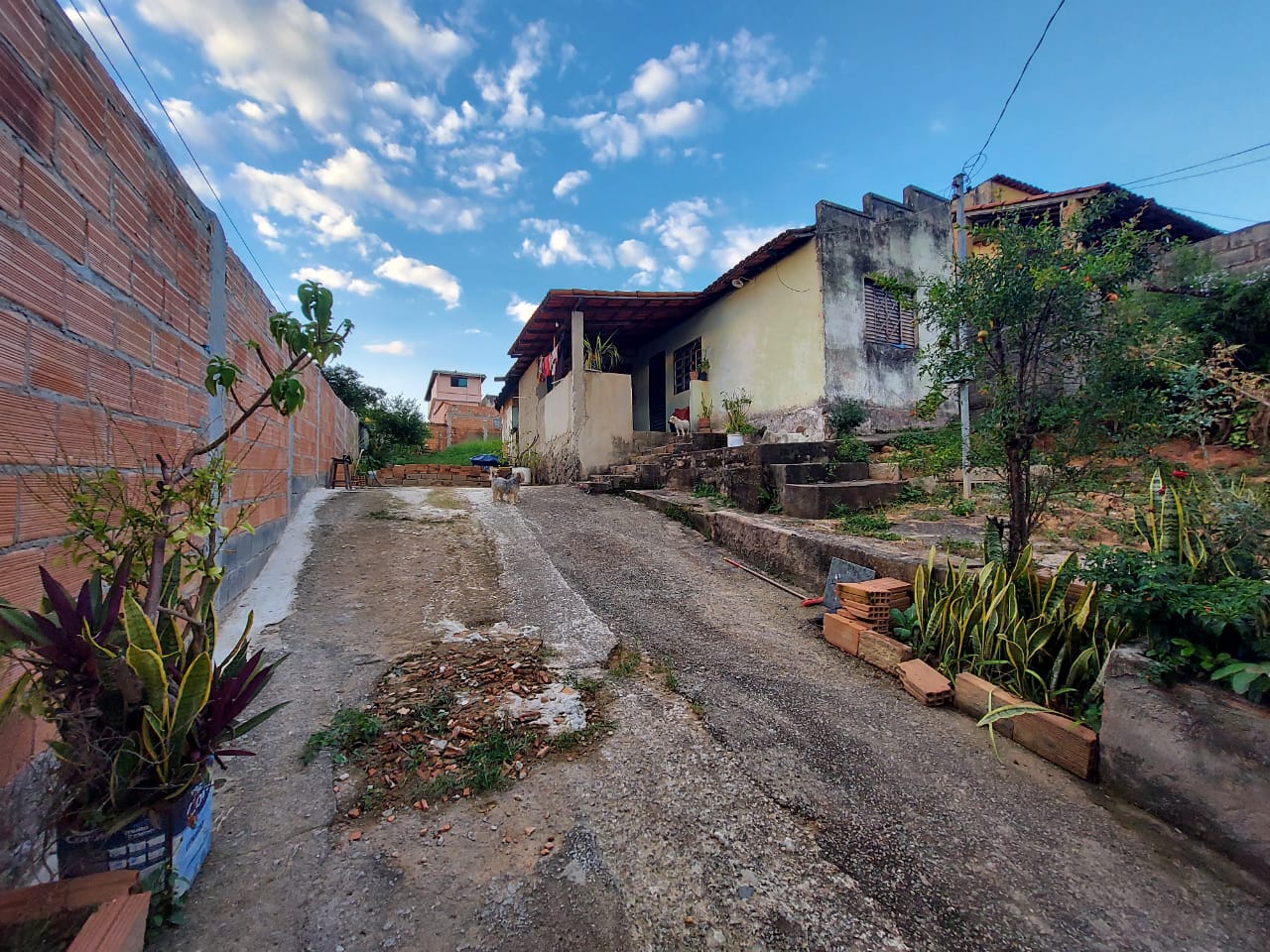 Terreno à venda, 50m² - Foto 8