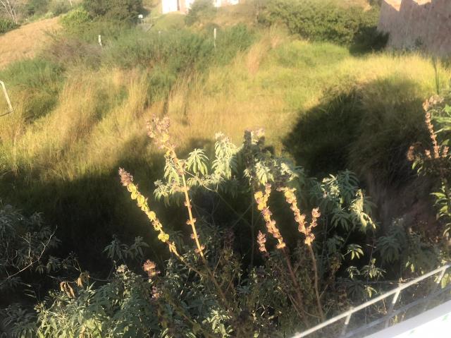 Terreno à venda, 501m² - Foto 1