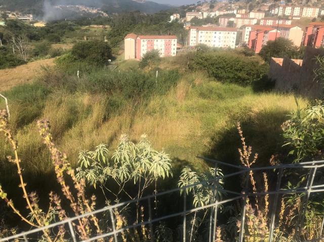 Terreno à venda, 501m² - Foto 7