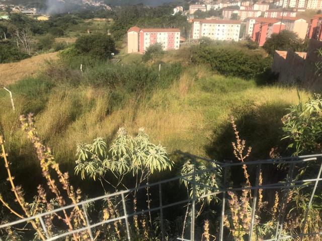 Terreno à venda, 501m² - Foto 14
