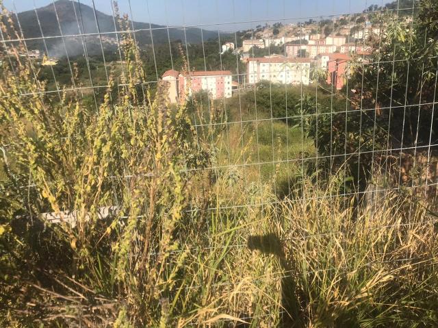 Terreno à venda, 501m² - Foto 21