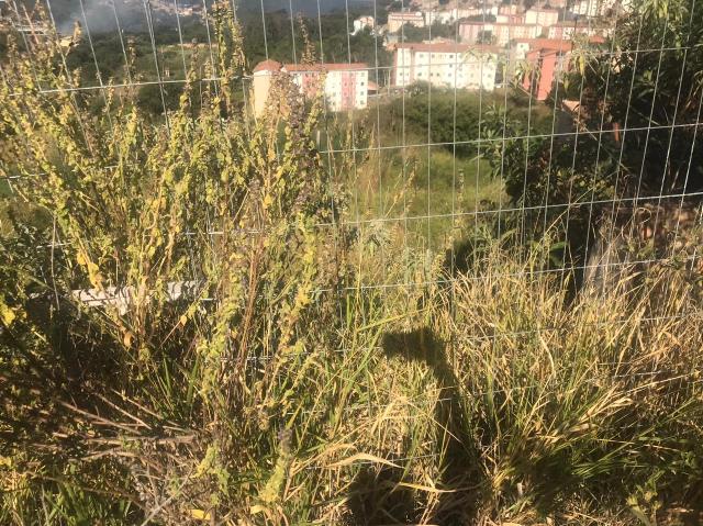 Terreno à venda, 501m² - Foto 23