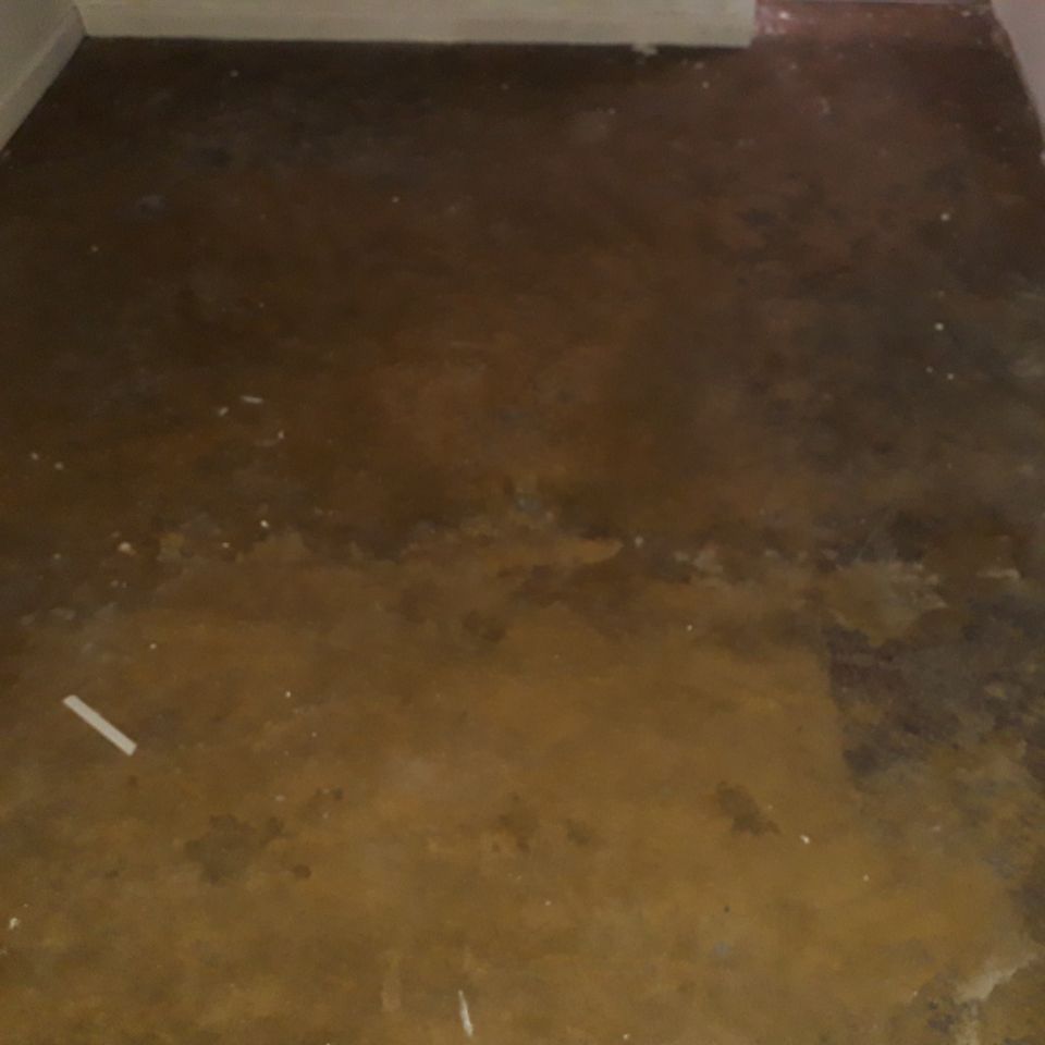 Casa para alugar com 2 quartos, 65m² - Foto 20