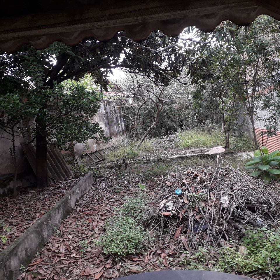 Terreno para alugar, 65m² - Foto 22
