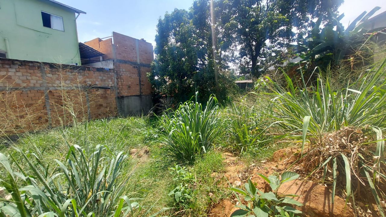 Terreno para alugar, 280m² - Foto 14