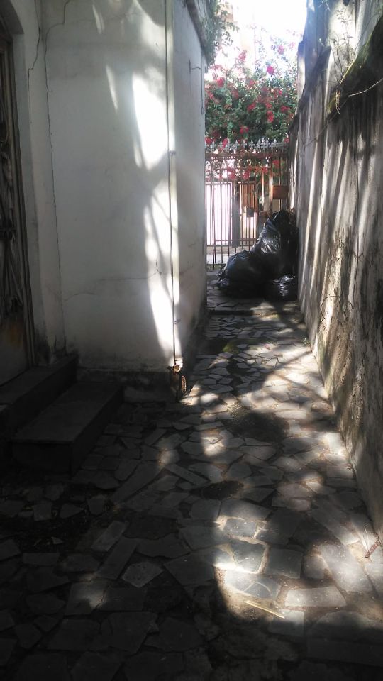 Terreno à venda, 142m² - Foto 13