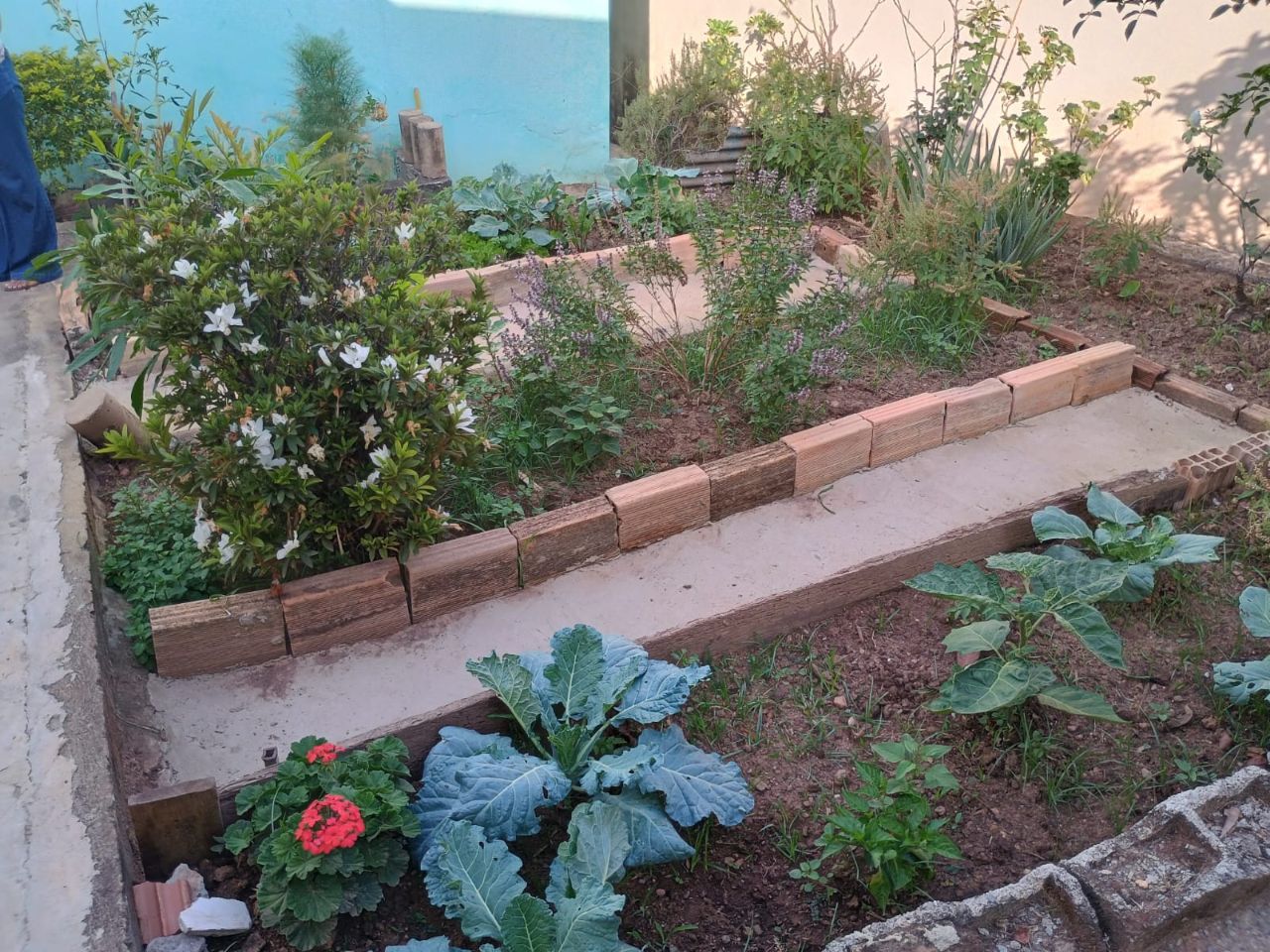 Casa, 4 quartos, 174 m² - Foto 1