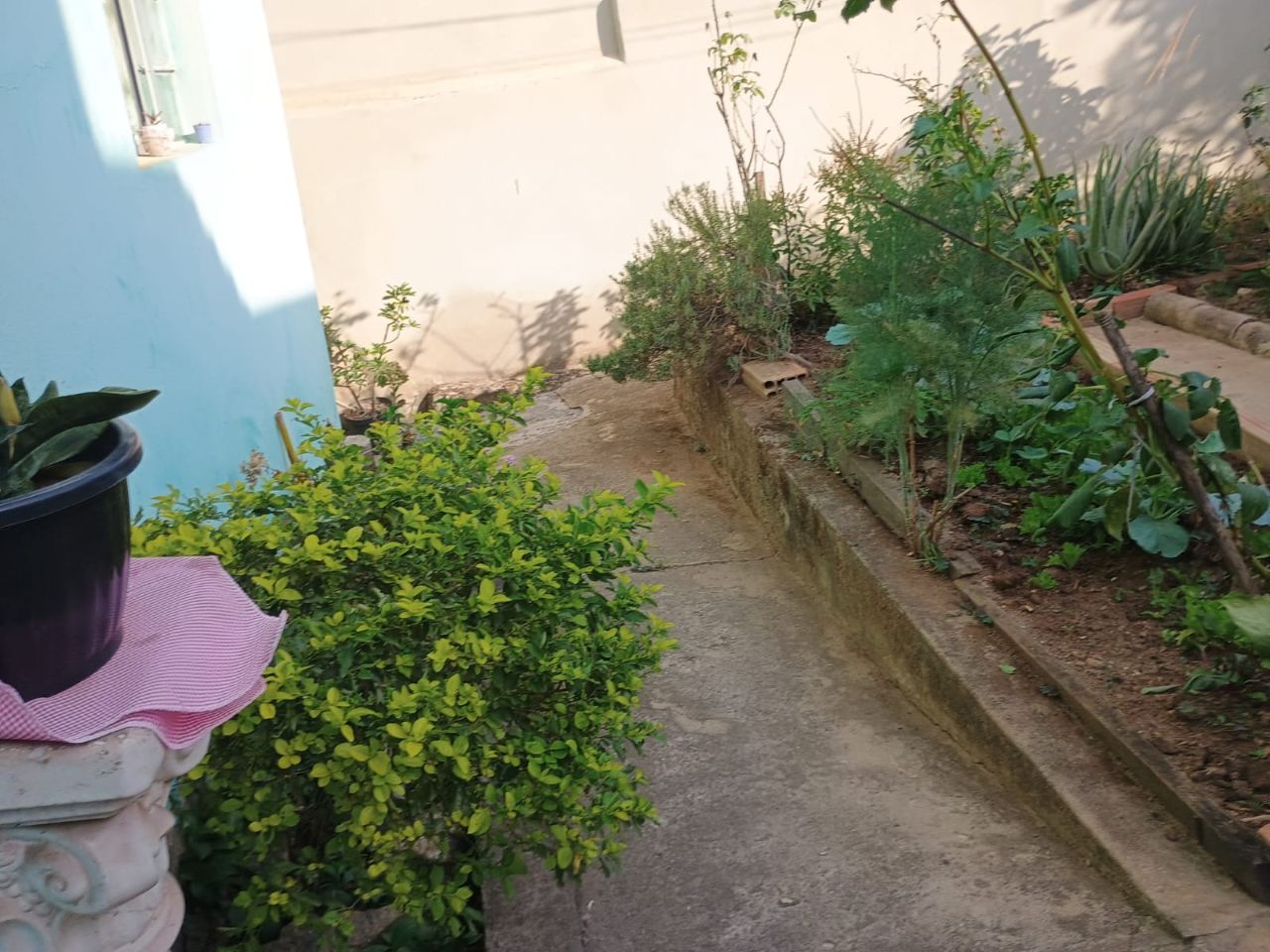 Casa à venda com 4 quartos, 174m² - Foto 2