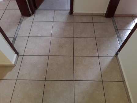 Apartamento para alugar com 2 quartos, 50m² - Foto 8