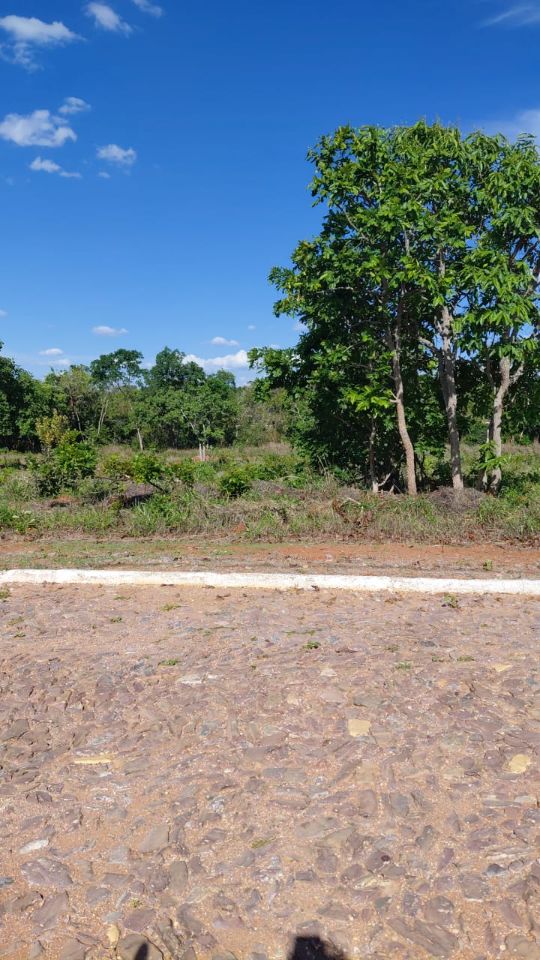 Terreno, 1300 m² - Foto 4